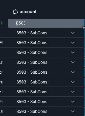 screenshot showing eleven coding lines which match the ten invoice lines plus an AP line