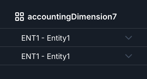 screenshot showing ENT1 filled in the accounting lines in dim7